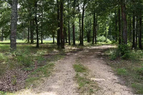 Other - 5400 Hill Harper Rd, Rison, AR 71665 photo 12 of 12