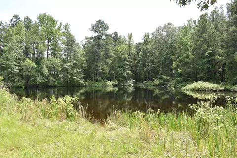 View/Area - 5400 Hill Harper Rd, Rison, AR 71665 photo 1 of 4