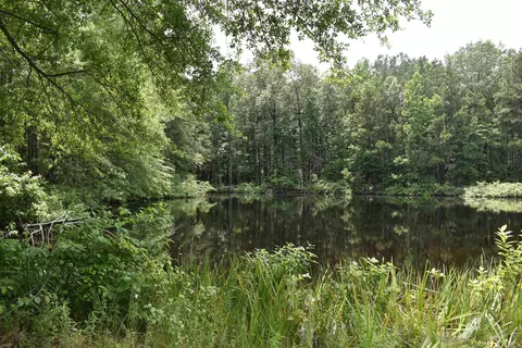 View/Area - 5400 Hill Harper Rd, Rison, AR 71665 photo 3 of 4