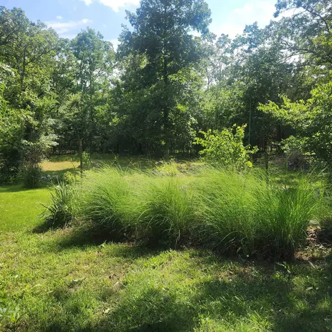 63 Tablerock Rd, Evening Shade, AR 72532 photo 27