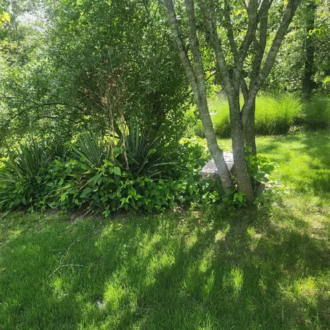 63 Tablerock Rd, Evening Shade, AR 72532 photo 26