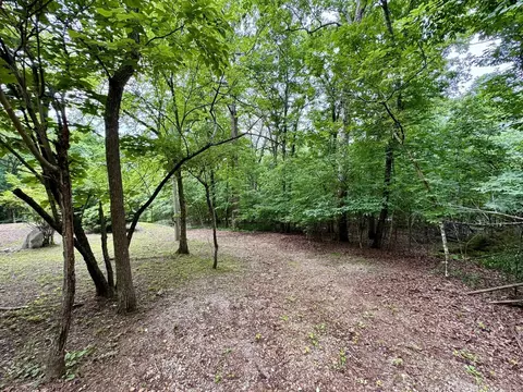 303 Bluffs Dr, Mountain View, AR 72560 photo 26