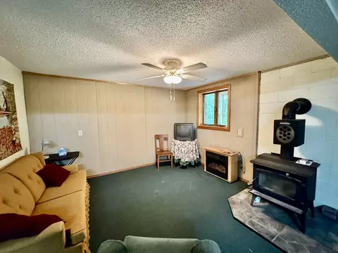 303 Bluffs Dr, Mountain View, AR 72560 photo 10