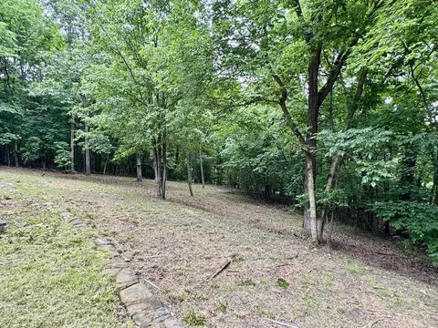 303 Bluffs Dr, Mountain View, AR 72560 photo 24