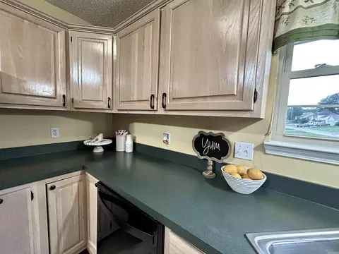 1828 Dove Dr, Benton, AR 72015 photo 20