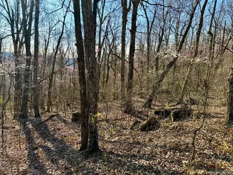 1169 Liberty Rd, Leslie, AR 72645 photo 23