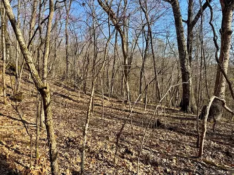 1169 Liberty Rd, Leslie, AR 72645 photo 37