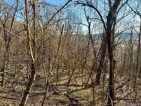1169 Liberty Rd, Leslie, AR 72645 photo 26