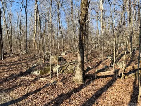 1169 Liberty Rd, Leslie, AR 72645 photo 19