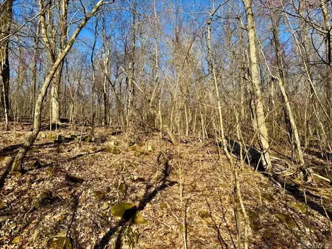 1169 Liberty Rd, Leslie, AR 72645 photo 34