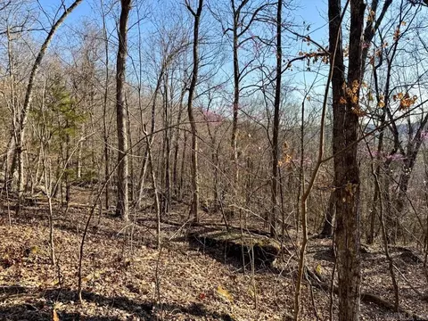1169 Liberty Rd, Leslie, AR 72645 photo 24