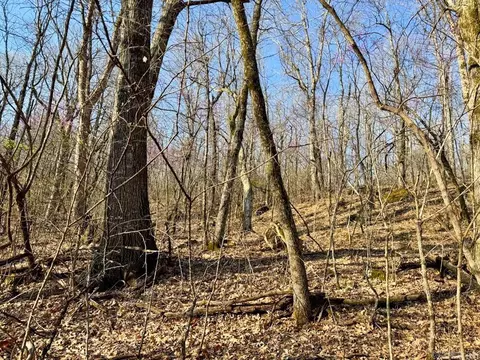 1169 Liberty Rd, Leslie, AR 72645 photo 28