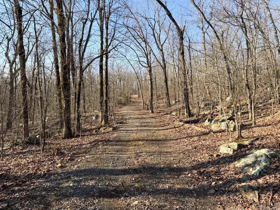 Other - 1169 Liberty Rd, Leslie, AR 72645 photo 9 of 22