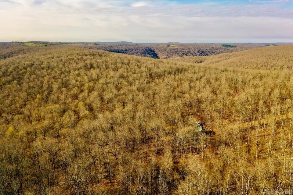 View/Area - 1169 Liberty Rd, Leslie, AR 72645 photo 3 of 5