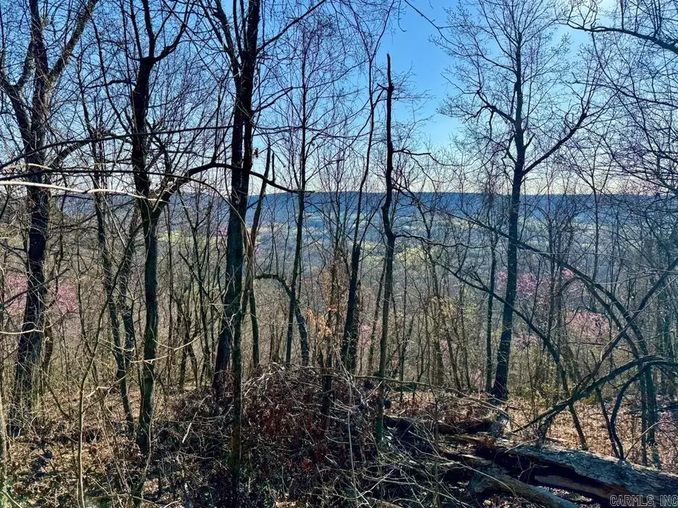 View/Area - 1169 Liberty Rd, Leslie, AR 72645 photo 5 of 5