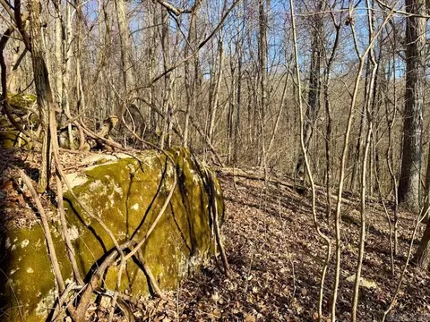 1169 Liberty Rd, Leslie, AR 72645 photo 30