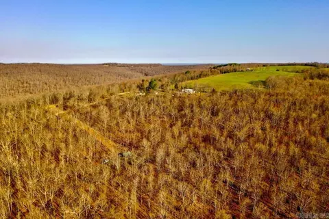 1169 Liberty Rd, Leslie, AR 72645 photo 10
