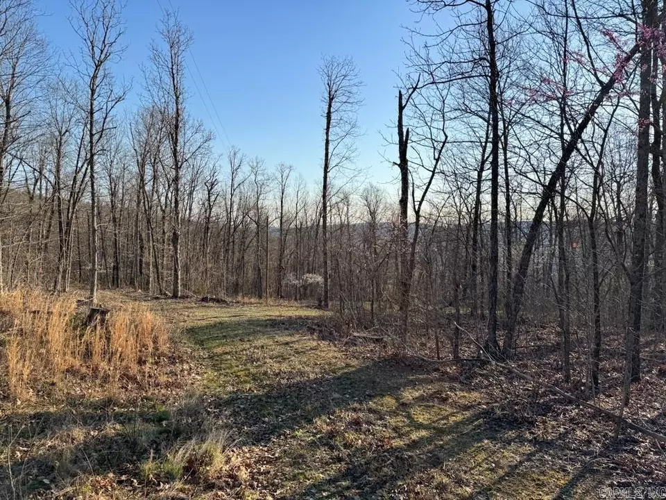 Other - 1169 Liberty Rd, Leslie, AR 72645 photo 7 of 22