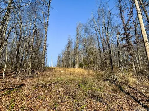 1169 Liberty Rd, Leslie, AR 72645 photo 44
