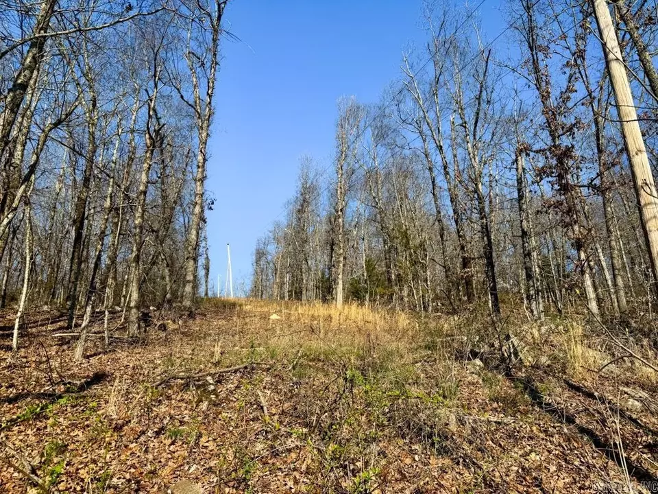 Other - 1169 Liberty Rd, Leslie, AR 72645 photo 21 of 22