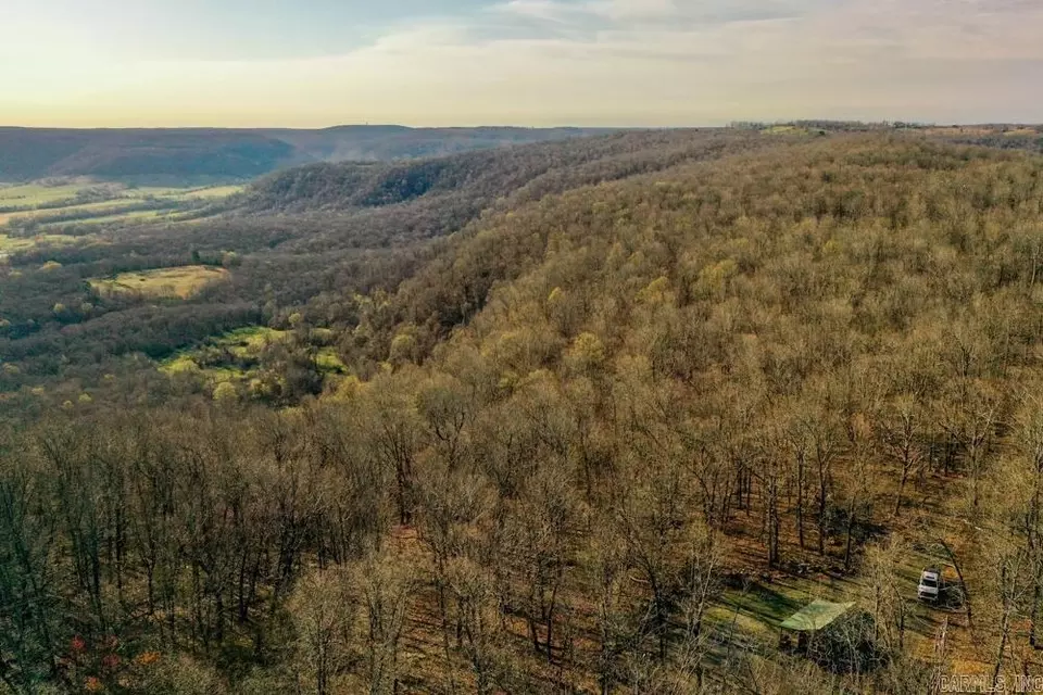 View/Area - 1169 Liberty Rd, Leslie, AR 72645 photo 2 of 5