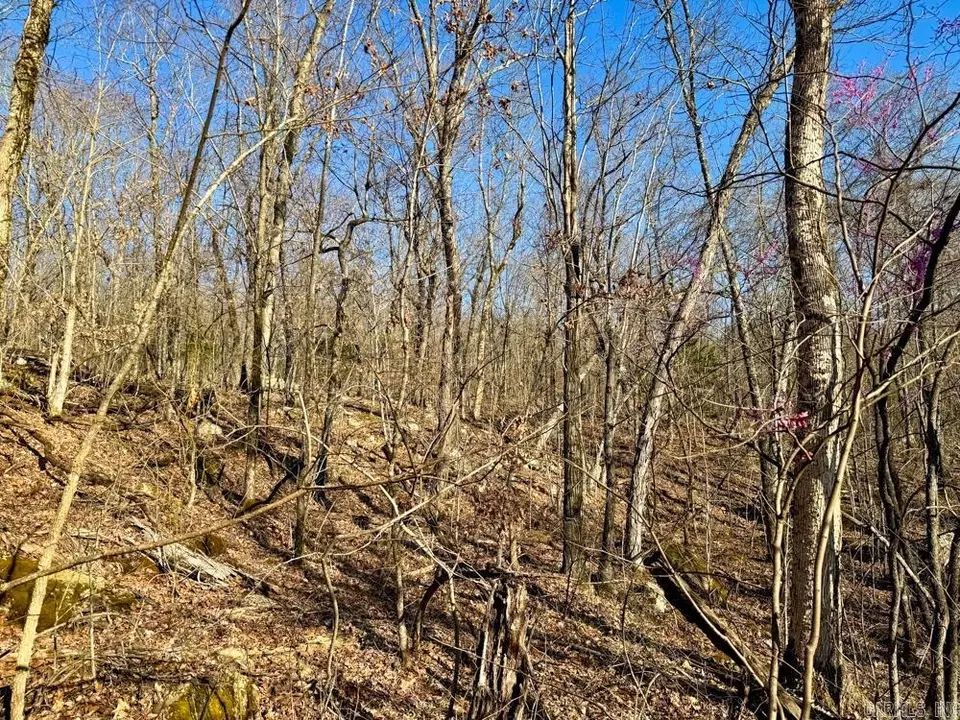 Other - 1169 Liberty Rd, Leslie, AR 72645 photo 13 of 22