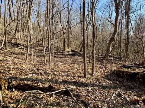 1169 Liberty Rd, Leslie, AR 72645 photo 39