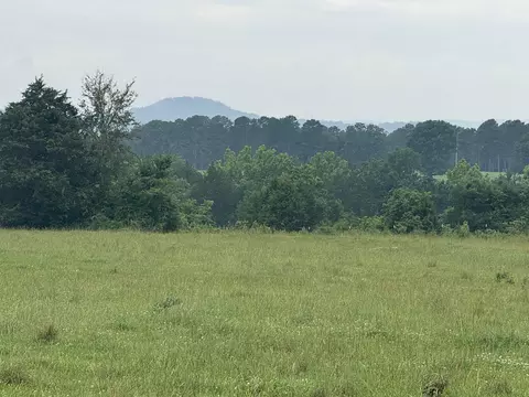 21 Allure Ln, Mountain View, AR 72560 photo 5