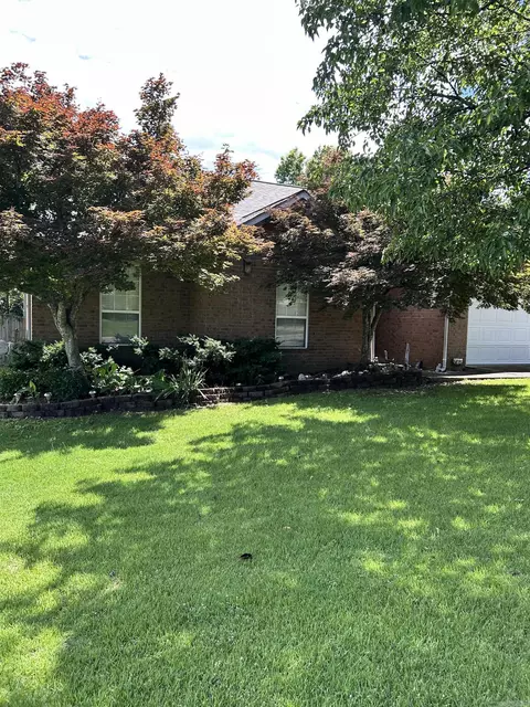 Exterior - 1105 Cantrell, Mountain View, AR 72560 photo 6 of 12