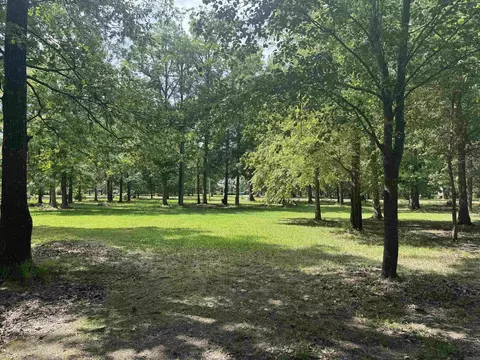 540 Heritage Dr, Rison, AR 71665 photo 4