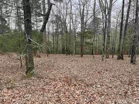 lot4 Diamond Bluff Rd, Quitman, AR 72131