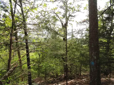 935 Standing Alone Rd, Leslie, AR 72645 photo 22
