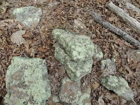 935 Standing Alone Rd, Leslie, AR 72645 photo 14