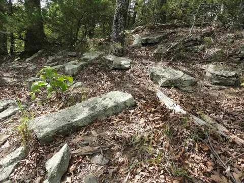 935 Standing Alone Rd, Leslie, AR 72645 photo 23