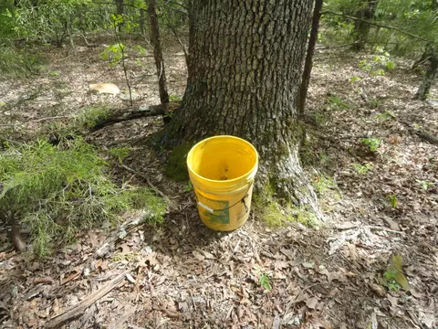 935 Standing Alone Rd, Leslie, AR 72645 photo 2