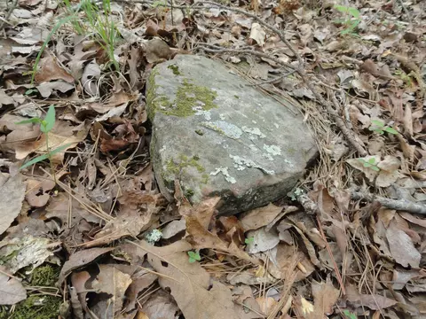 935 Standing Alone Rd, Leslie, AR 72645 photo 17