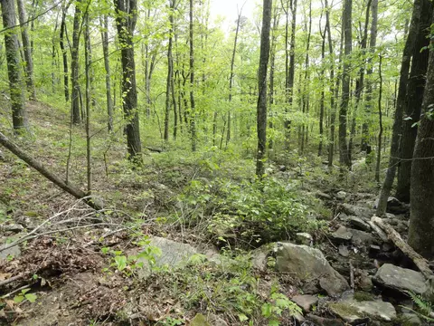 935 Standing Alone Rd, Leslie, AR 72645 photo 31