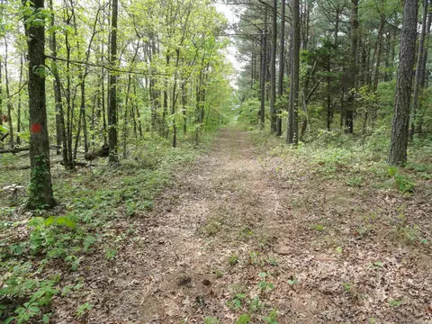 935 Standing Alone Rd, Leslie, AR 72645 photo 7