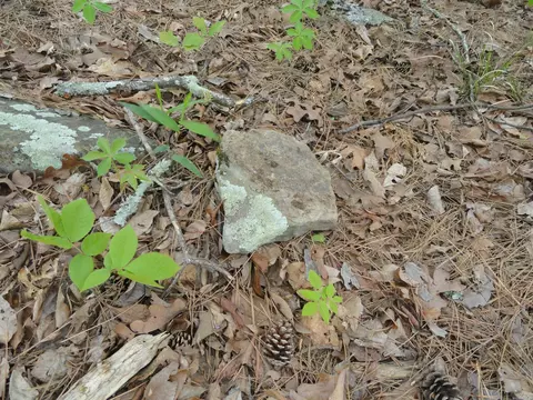 935 Standing Alone Rd, Leslie, AR 72645 photo 18