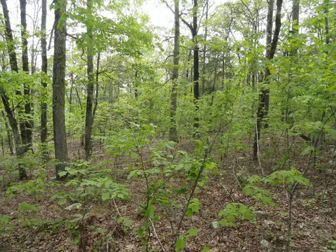 935 Standing Alone Rd, Leslie, AR 72645 photo 11