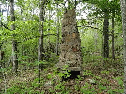 935 Standing Alone Rd, Leslie, AR 72645 photo 35