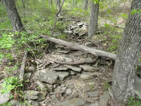 935 Standing Alone Rd, Leslie, AR 72645 photo 25