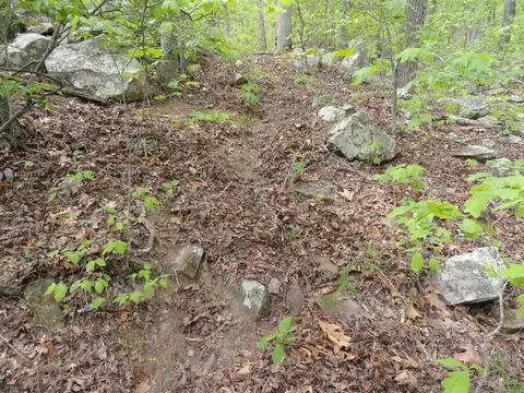 935 Standing Alone Rd, Leslie, AR 72645 photo 32