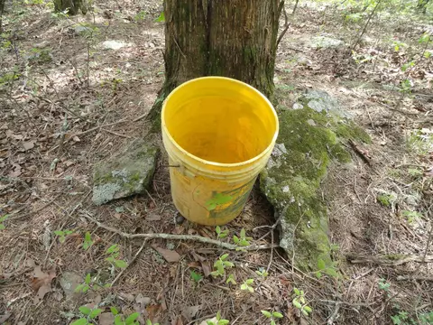 935 Standing Alone Rd, Leslie, AR 72645 photo 5