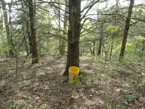 935 Standing Alone Rd, Leslie, AR 72645 photo 21