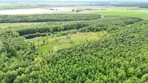 118 Cloar Rd, Earle, AR 72331