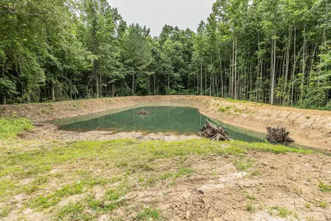 283 Greene 562 Rd, Lafe, AR 72436 photo 8