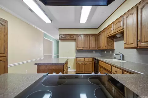 3905 Deer Dr, Benton, AR 72019 photo 9