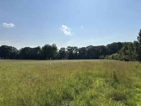 172 Ruby Rd, Ward, AR 72176 photo 2