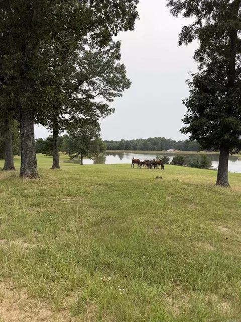 975 Sundance Rd, Piggott, AR 72454 photo 2